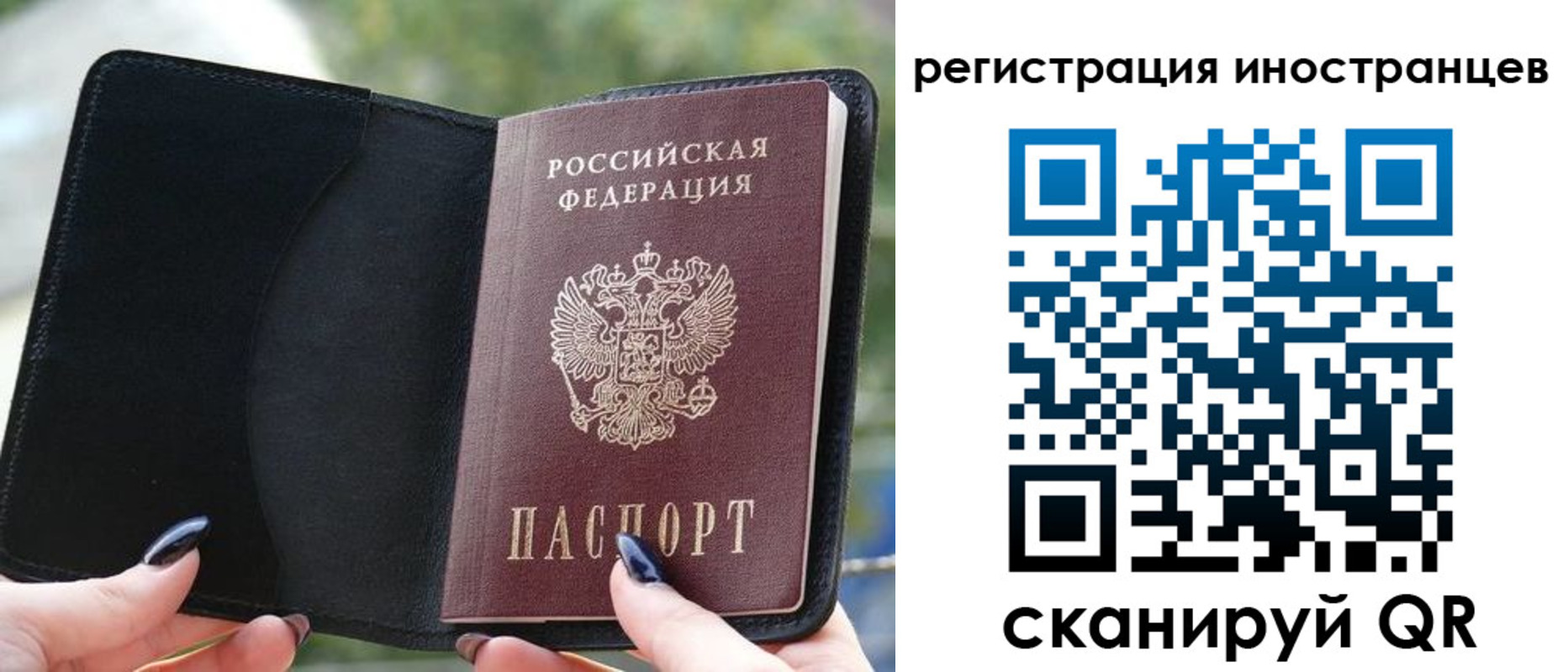 найти адрес прописки в Звенигороде